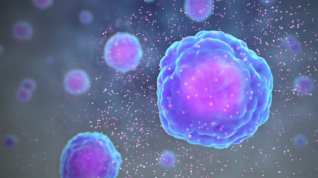 A Breakthrough in Inflammation Reduction: Exploring the Science Behind Red Light Therapy