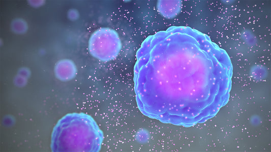A Breakthrough in Inflammation Reduction: Exploring the Science Behind Red Light Therapy